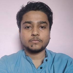 Sadique Hussain - React Developer