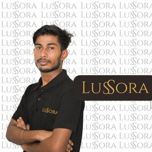 Ankit Sah - Co-founder , Lussora 