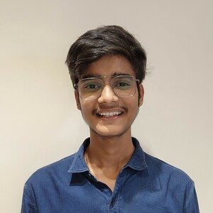 Vinay Agarwal - Analyst, Avine