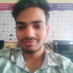 RAJ VISHWAKARMA - UI Developer